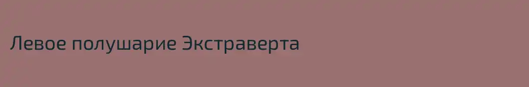 Левое полушарие Экстраверта